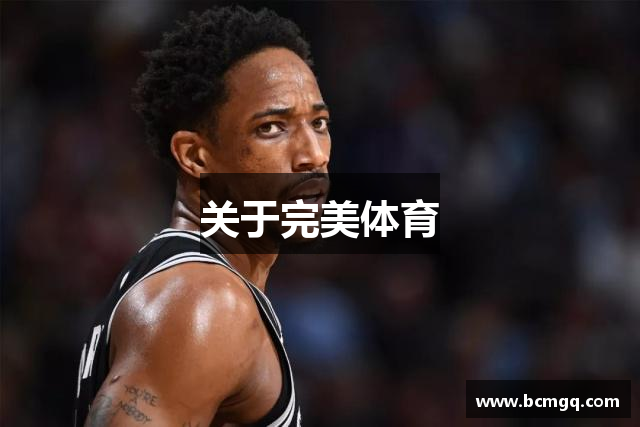 关于完美体育